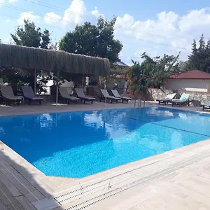Nilsu Türkiye